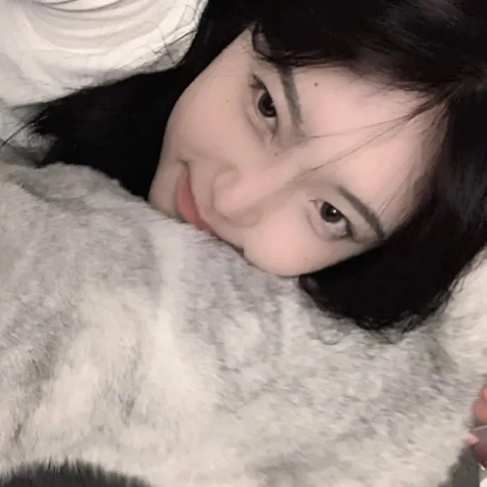 美丽谎言2014